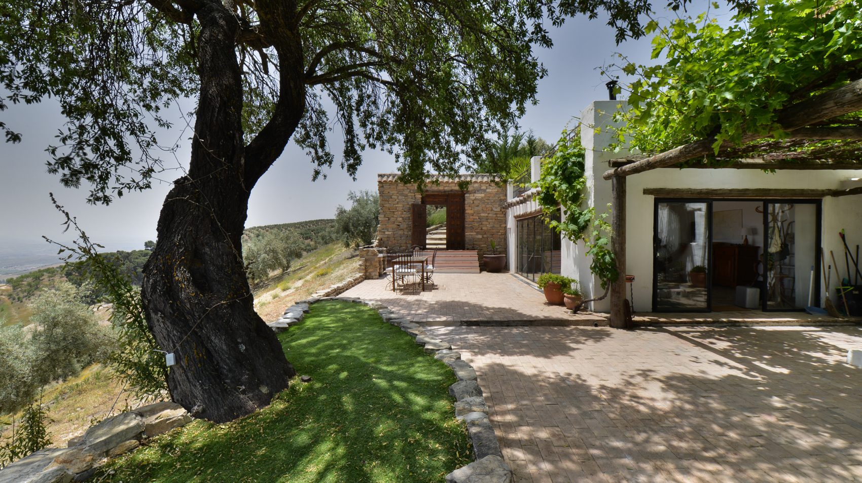 The 1877 cortijo behind its ancient olive tree