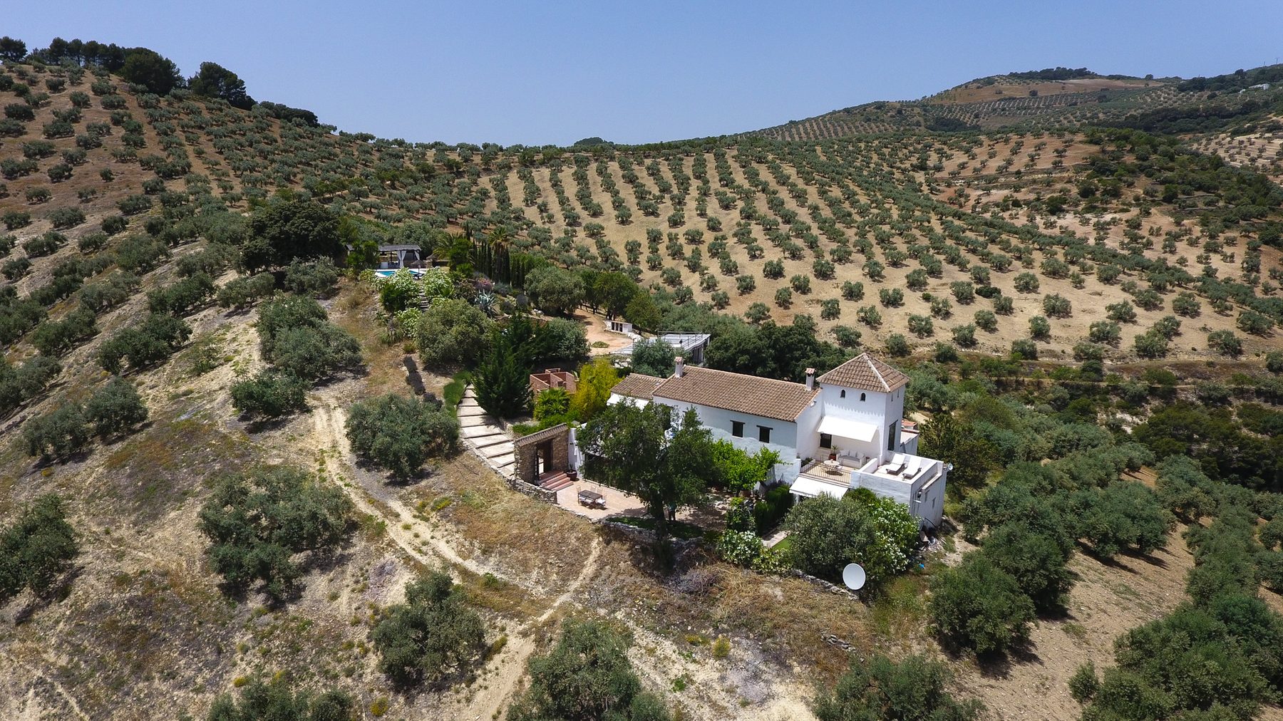 The cortijo among the olive groves