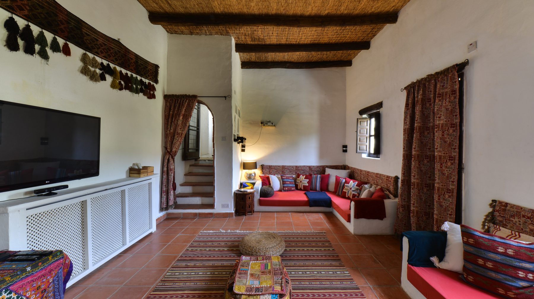 A courtyard beneath an ancient olive