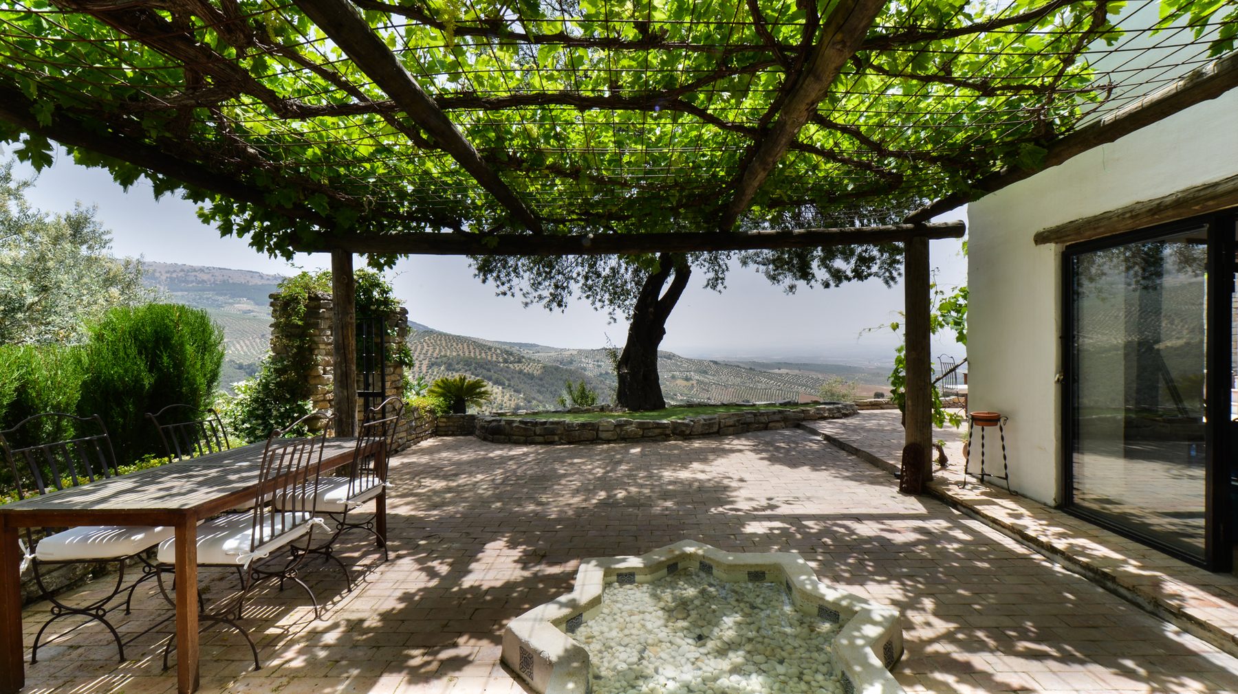 The vine-shaded pergola